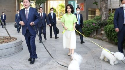 Корейцам запретили убивать собак для употребления в пищу