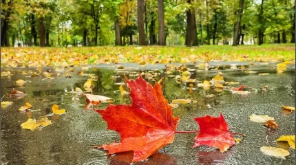 Грозы и туманы: прогноз погоды на вторник, 1 октября