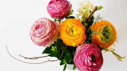 В Министерстве просвещения разрешили дарить цветы педагогам в День учителя