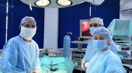 Миому весом в четыре килограмма удалили жительнице Конаева