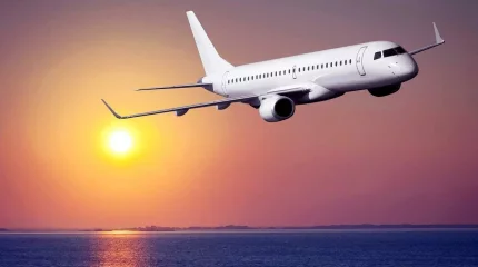 Дубай-Алматы рейсінде немересі әжесіне тосынсый жасады