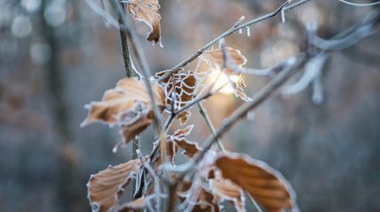 Полицейские Костанайской области обратились к водителям из-за непогоды