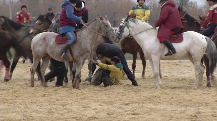Елордада ұлттық ат спорты түрлерінен фестиваль өтуде