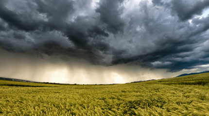 Ертең еліміздің 14 өңірінде дауылды ескерту жарияланды