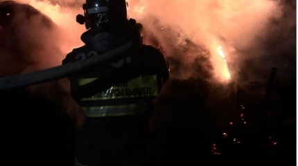 Житель Семея едва успел спастись из загоревшегося авто