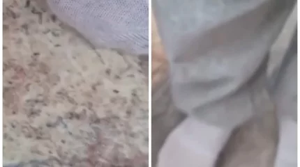 Балалар жиі ауыра бастаған: Ақмола облысындағы балабақшалардың бірінде бүрге қаптады