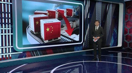 "Малдың жемі қымбат, еті арзан", - шаруа