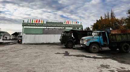 Жетісуда қант қызылшасы бұзылып жатыр