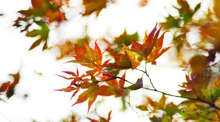 Морозы отступают: прогноз погоды в мегаполисах на пятницу, 18 октября