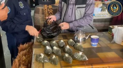 Более 45 килограммов насвая изъяли у туркестанца