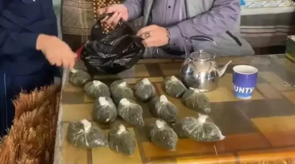 Түркістан облысында саудагерден 45 келіден астам насыбай тәркіленді