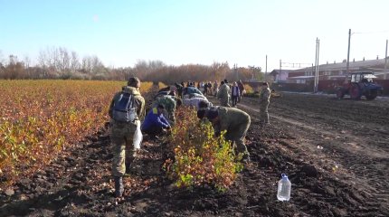 Орманшының жұмысы оңай емес