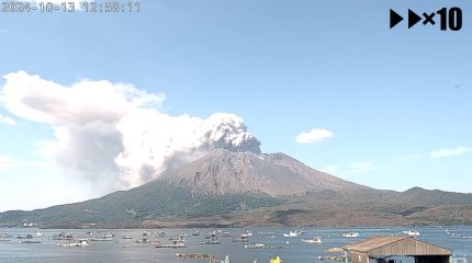 ВОЗ прогнозирует в Ливане вспышку холеры