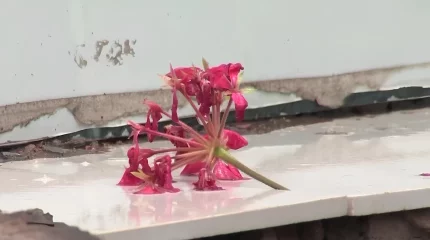 Астанада 22 жастағы қыздың денесі табылды