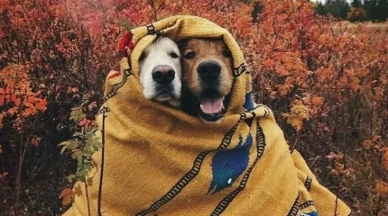 До 8 градусов мороза обещают предстоящей ночью в Казахстане