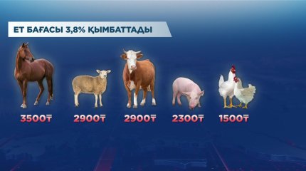 Елдегі әр адам бір айда 10 келі ет жейді