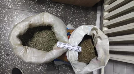 Жамбылда 28 жастағы тұрғыннан есірткінің үлкен партиясы тәркіленді