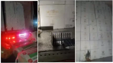 Ресейден Қазақстанға 200 миллион теңгенің темекісін "жасырын" әкелмек болған