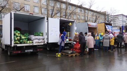 Свыше тысячи тонн  сельхозпродукции представили на ярмарке в Петропавловске