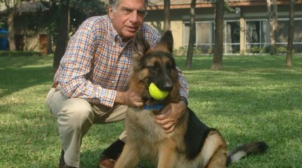 Үнді миллионері байлығын иті мен екі көмекшісіне мұраға қалдырған