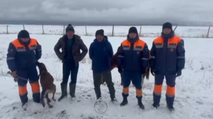 Всадника на лошади всю ночь искали алматинские спасатели