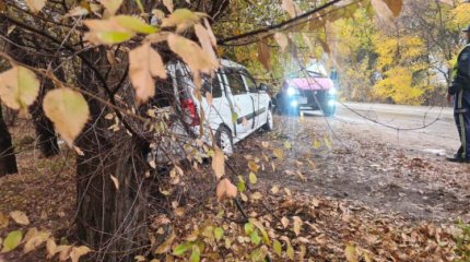 Авто врезалось в дерево на трассе в Алматинской области: один человек погиб