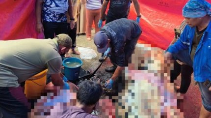 Крокодил съел шестилетнюю девочку