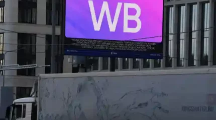 Иск на 350 млрд рублей подал Бакальчук к своей жене и Wildberries