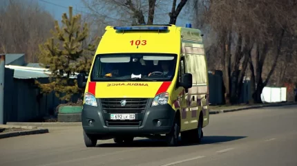 Солтүстік Қазақстан облысындағы мектепте оқушыны пышақтап кеткен