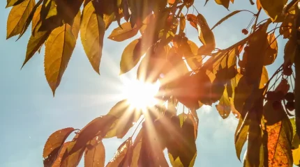 Лето в октябре прогнозируют синоптики в мегаполисах в субботу, 5 октября