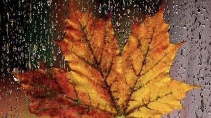 Дожди прогнозируют в Астане и Алматы в понедельник, 7 октября