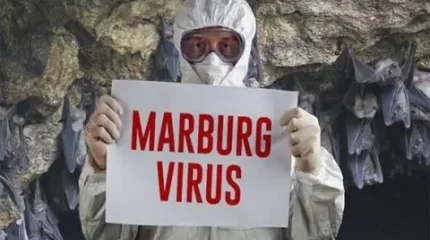 Руандада Марбург вирусынан 12 адам көз жұмды