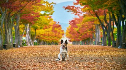 Морозные ночи, жаркие дни: прогноз погоды в мегаполисах Казахстана на вторник, 8 октября