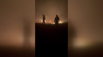 Масштабный природный пожар в Карагандинской и Павлодарской областях: МЧС сообщили о частичной локализации огня