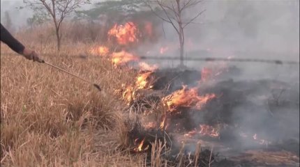 Пожары в Боливии  уничтожили более 10 млн. га растительности