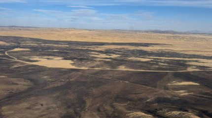 Степной пожар в Карагандинской области потушен, - МЧС РК