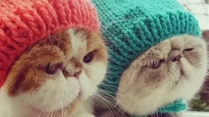 Резко похолодает на севере и западе Казахстана: погода на выходные