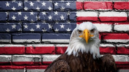 В США завершили подсчет голосов на президентских выборах