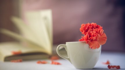 Звёзды сулят успех в различных сферах: кому и в чем повезёт больше в гороскопе на 10 ноября