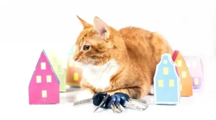 Насколько подорожало жилье в Казахстане?