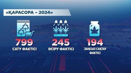 «Қарасора – 2024» барысында екі ұйымдасқан қылмыстық топ анықталды