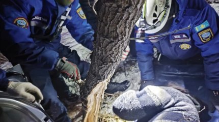 Павлодарда жол апатынан жүргізуші көлікте қысылып қалды