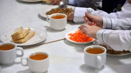 Мектептерде оқушыларды тамақтандырудың жаңа стандарты әзірленеді