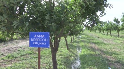 В Кызылорде в рамках проекта «Жер аманаты» в государственную собственность вернули более 76 тысяч га земли