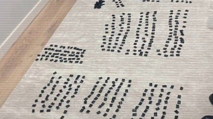 Крупные партии наркотиков изъяли в Астане и Караганде (ВИДЕО)