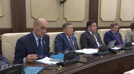 "Жаңа заң жобасы 3 үлкен бағытқа бөлінген", - А. Балаева