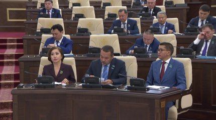 Финансирование легионеров за счёт бюджета запретят в Казахстане