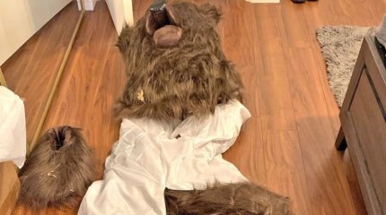 Мужчина в костюме медведя имитировал нападение на машины ради выплат от страховой компании