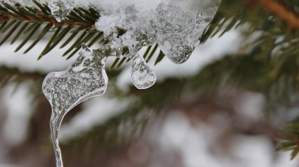 Снежно, морозно, туманно: прогноз погоды в мегаполисах Казахстана на 15 ноября