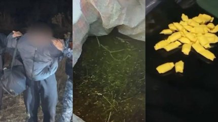 Более 120 иностранцев задержаны за контрабанду наркотиков в Туркестанской области